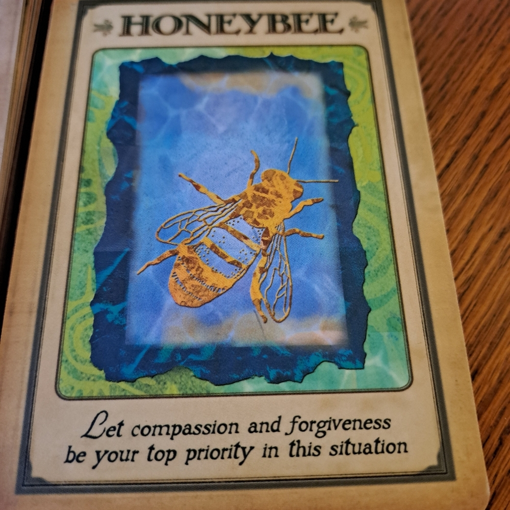 Animal Spirit Guides Oracle Cards by Steven D. Farmer - Picture 5 of 5